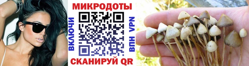 Купить  Новочебоксарск  Галлюциногенные грибы MAGIC MUSHROOMS 